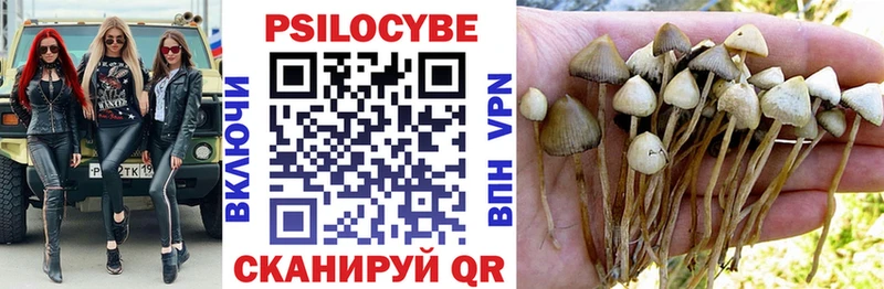 блэк спрут ONION  где можно купить наркотик  Семёнов  Псилоцибиновые грибы MAGIC MUSHROOMS 